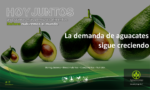 Agroenzymas de Panamá