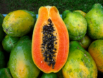 Agroenzymas de Panamá