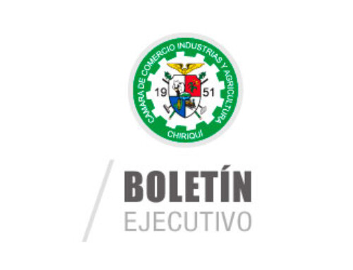 Boletín Ejecutivo 2019 – Edición Nº1