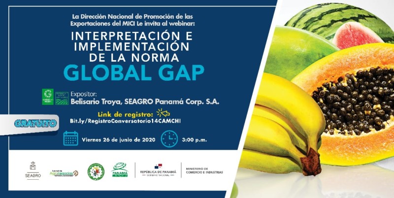 Webinar gratuito: Interpretación e Implementación